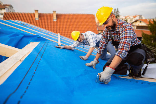 Residential Roof Replacement in Lavalette, WV