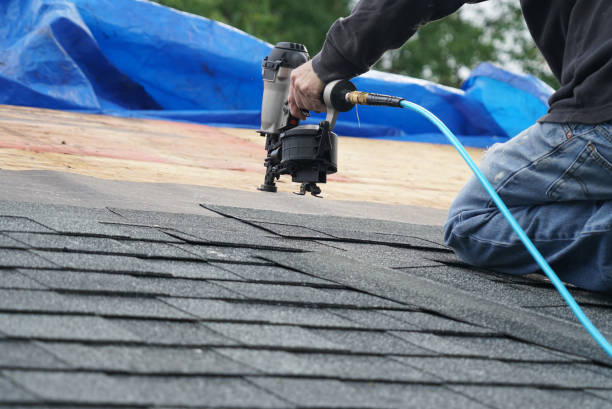 Gutter Installation and Roofing in Lavalette, WV
