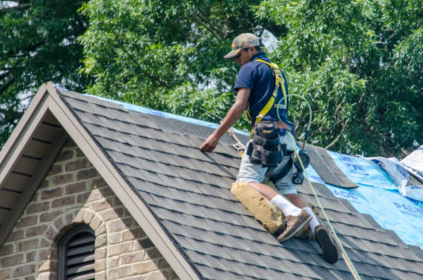 Best New Roof Installation  in Lavalette, WV